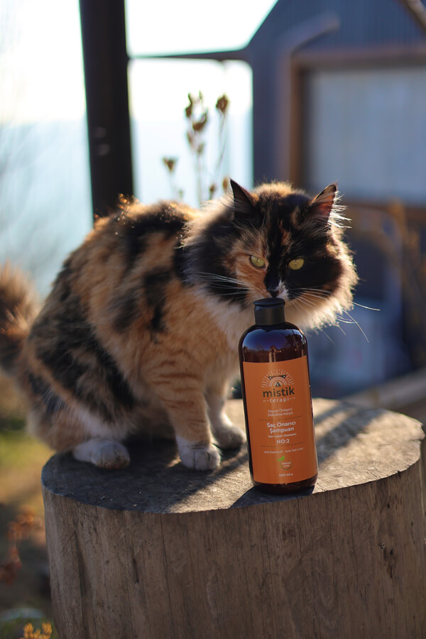 Mistik Terapi No:2 Hair Repair Shampoo